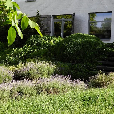 Lovely Stay In Hotton, Near Durbuy, Ravel, Gp57 And The River L'Ourthe هوتون