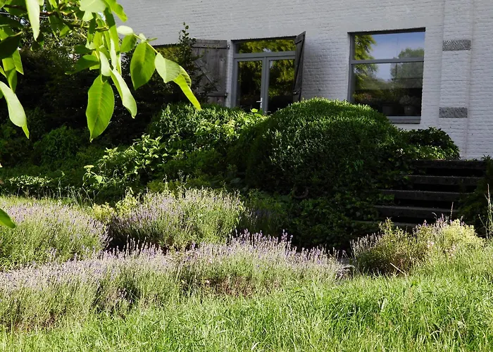 O Lit De L'ourthe Hotton