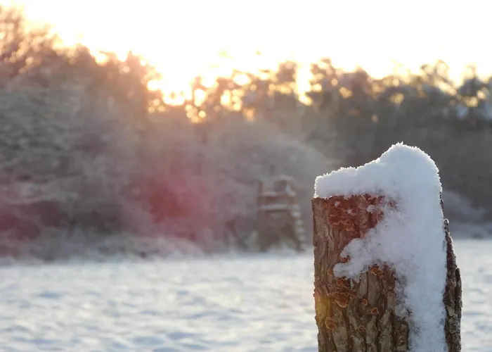 Penzion O Lit De L'ourthe 4*