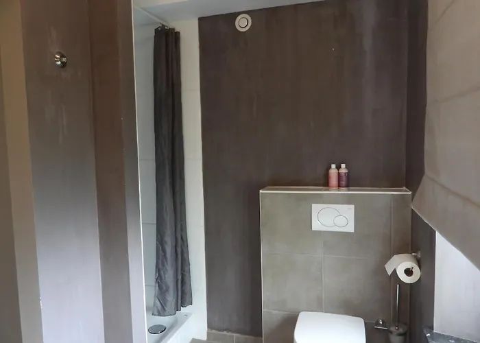 O Lit De L'ourthe Penzion Hotton